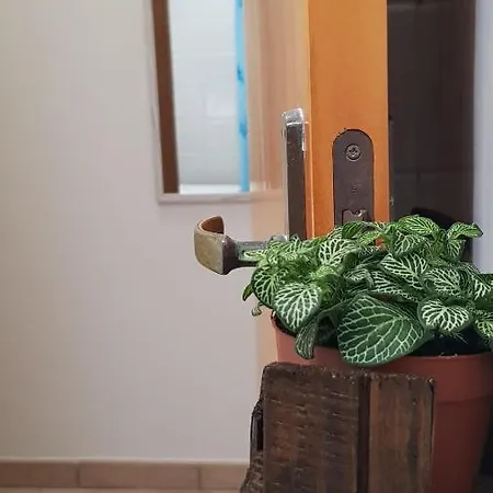 Casa Moniceddhi Tatil Evi