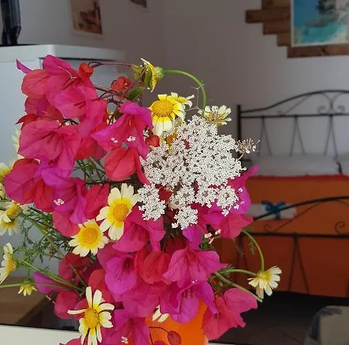 Casa Moniceddhi Tatil Evi Marina di Mancaversa