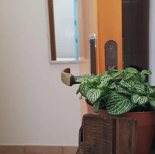 Casa Moniceddhi Tatil Evi